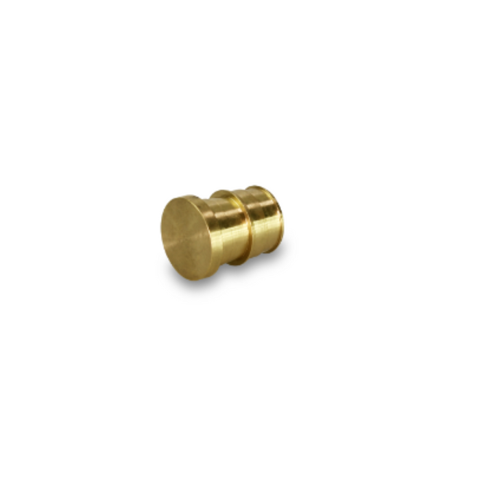 1" Brass Plug