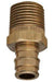 EPXA33BT - WPMA0012-NL Everflow 1/2" F1960 X 1/2" MIP Adapter Brass - American Copper & Brass - EVERFLOW SUPPLIES INC Inventory Blowout