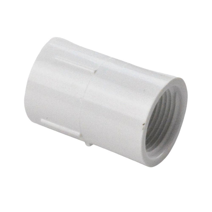 430-007 LASCO Fittings 3/4" FPT X FPT Schedule 40 Coupling
