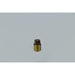 AB109F - BRPL0012-NL Everflow 1/2" MIP Square Head Plug-Cast Brass - American Copper & Brass - EVERFLOW SUPPLIES INC BRASS FITTINGS