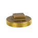 RH109S - 302-605 Legend 2" Brass Raised Square Head Plug - American Copper & Brass - LEGEND VALVE & FITTING BRASS FITTINGS