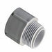 212PVCTERM - TA25 Kraloy 2-1/2" PVC Terminal Adapter - American Copper & Brass - MULTI FITTINGS-KRALOY CONDUIT