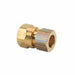 A66FF - 66-8-8X BrassCraft 1/2" OD X 1/2" FIP Brass Connector - American Copper & Brass - BRASSCRAFT MFG CO COMPRESSION FITTINGS