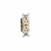 BR15I - BR15-I Leviton Commercial Duplex Receptacle, 15 Amp, 125 Volt - Ivory - American Copper & Brass - LEVITON INC WIRING DEVICES